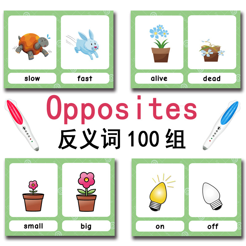 De 100 Groepen Tegenstellingen - Card Game Kids recensie en prijs